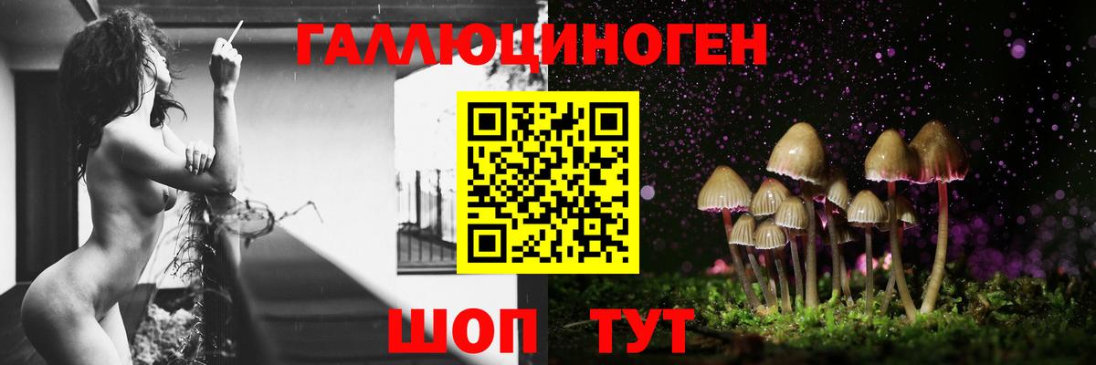Псилоцибиновые грибы Magic Shrooms  Вход с VPN  Галлюциногенные грибы Psilocybine cubensis  Россия 